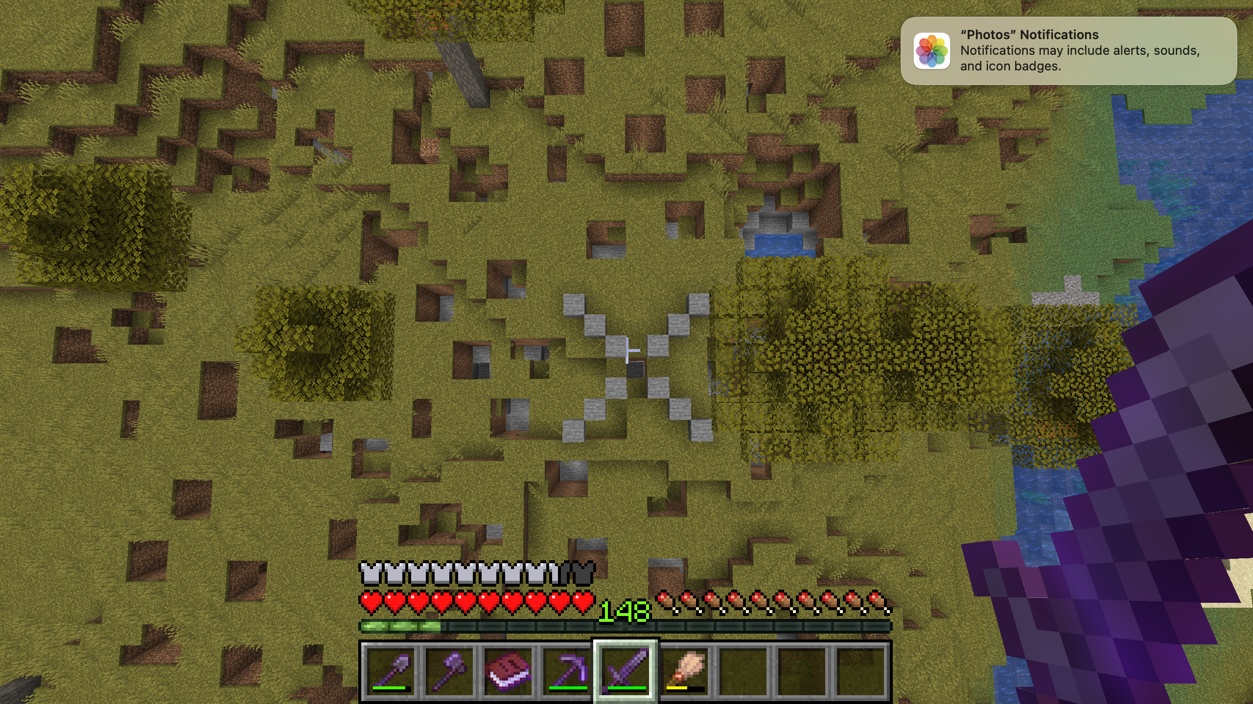 Grief holes by my villager powered crop farm